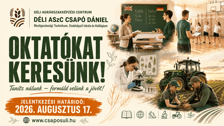 Oktatói állások